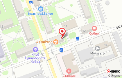 Магазин Автотон на улице Менделеева на карте