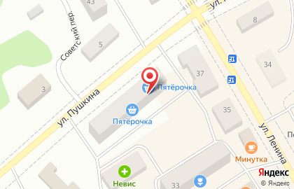 Гипермаркет Дикси на улице Пушкина на карте