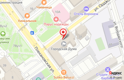 Воронежская городская Дума на карте