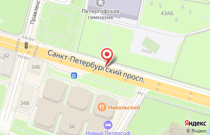 Районная детская библиотека, Петродворцовый район на карте