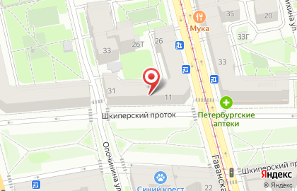 Детский сад №42 в Василеостровском районе на карте