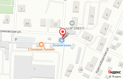 Зоомагазин У Барбоса на Куликовской улице на карте
