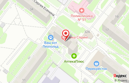 Лаборатория Ника Спринг на улице Сергея Есенина на карте