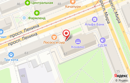Телекоммуникационная компания Инсис на проспекте Ленина на карте