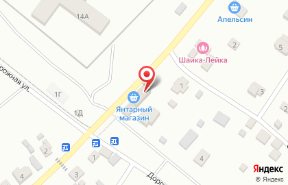 Магазин товаров повседневного спроса Янтарный на карте