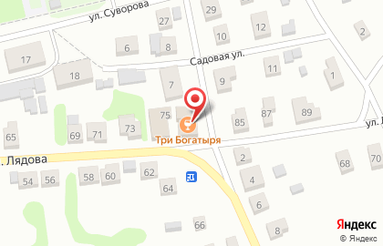 Магазин мясной продукции Звениговский на улице Лядова на карте