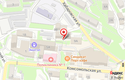 Управление вневедомственной охраны Военный восточный округ войск национальной гвардии по Приморскому краю на карте