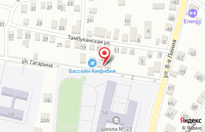 Детский бассейн Амфибия на карте