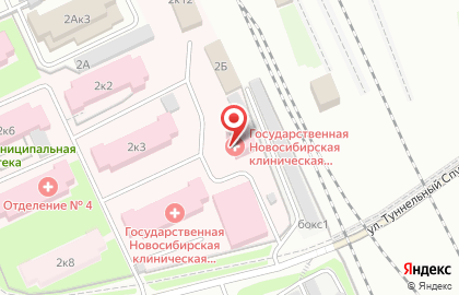 Больница Государственная Новосибирская клиническая психиатрическая больница №3 в Новосибирске на карте