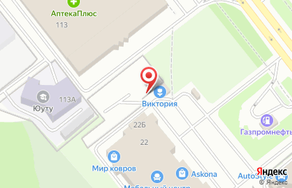 Садовый центр Виктория в Челябинске на карте