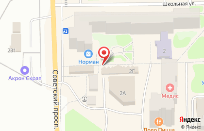 Магазин зоотоваров на Школьной (Тосненский район), 2г на карте