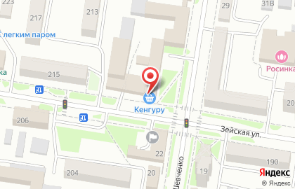Супермаркет Кенгуру на улице Шевченко на карте
