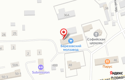 Березовский молзавод на карте