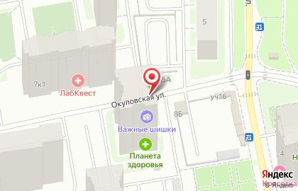 копицентр "Важные шишки" на Окуловской улице на карте