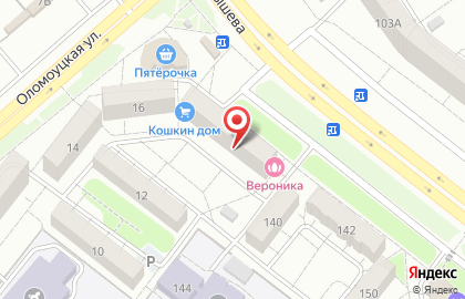 Кошкин дом, ИП Виниченко В.Я. на карте