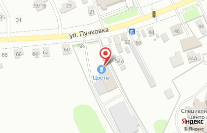 Торговая компания Цветы Черноземья в Центральном районе на карте