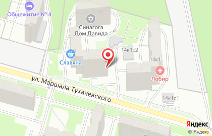 Лечебно-диагностический центр ЭндоМедЛаб на улице Маршала Тухачевского на карте