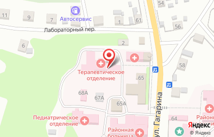 Опочецкая межрайонная больница на улице Гагарина на карте