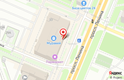 Магазин женской одежды Elena на проспекте Ленина на карте
