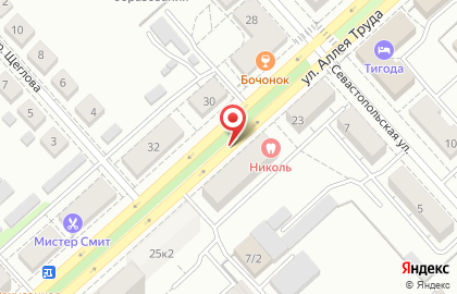 Николь на улице Аллея Труда на карте