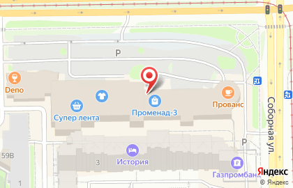 Зоомагазин Домашний любимец на проспекте Ленина на карте