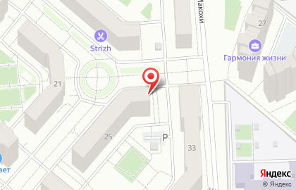 Зоомагазин Zooshop в Кировском районе на карте
