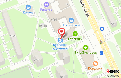Ветеринарная клиника Бурлаков и Демидов на карте