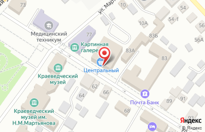 Магазин зоотоваров Любимчик на улице Ленина на карте