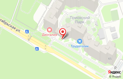 Программный Регион на карте