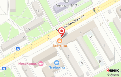 Служба курьерской доставки СберЛогистика на Туркестанской улице на карте