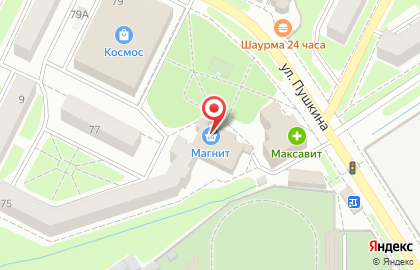 Фирменный магазин БК на улице Пушкина на карте