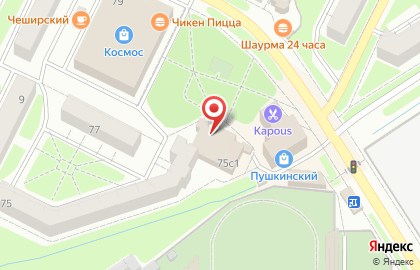 Супермаркет Магнит на улице Пушкина, 75 на карте
