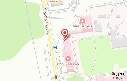 Областная консультативная поликлиника на Берёзовой улице на карте