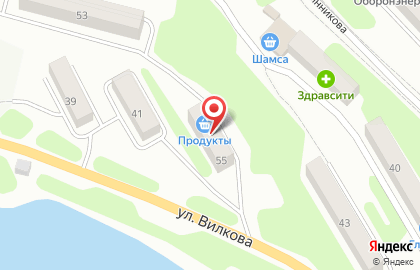 Продуктовый магазин Светлана в Петропавловске-Камчатском на карте