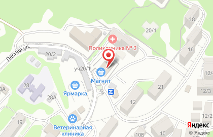 Супермаркет Магнит на Лесной на карте