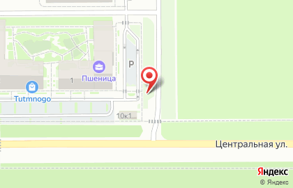 Строительная компания Брусника. Сибакадемстрой в Новосибирске на карте