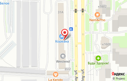 Единый визовый центр в Москве на карте