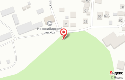 ООО Кудряшовский Леспромхоз на карте