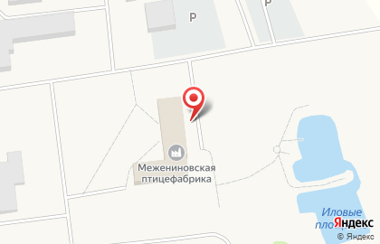 Банкомат СберБанк на улице Светлый на карте