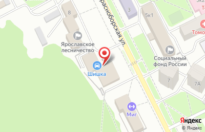 Кафе Шишка в Ярославле на карте