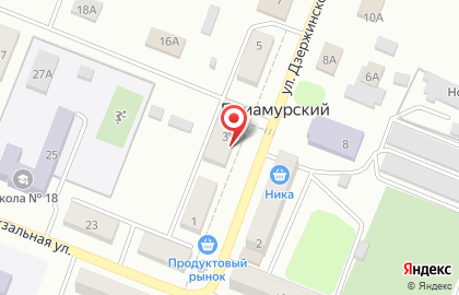 Продуктовый магазин Светлана на улице Дзержинского на карте
