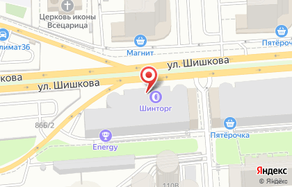 Автосервис Шинторг на Московском проспекте на карте