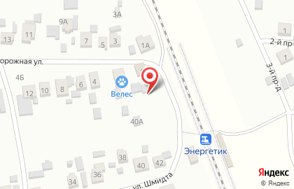 Ветеринарная клиника ВелесВет на Железнодорожной улице на карте