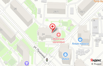 Прачечная на улице Пушкина на карте