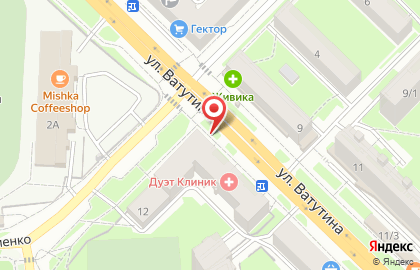 ООО Минимакс на улице Ватутина на карте