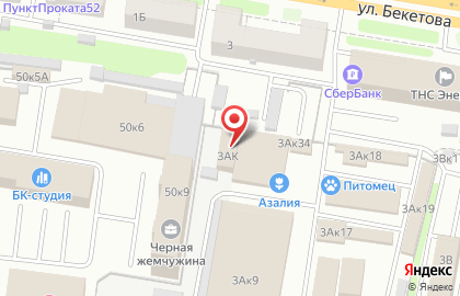 Питомец на улице Бекетова на карте