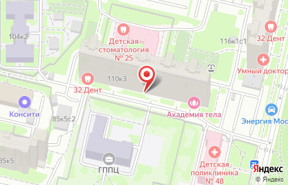 Камелия на улице Юных Ленинцев на карте