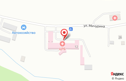 Холмская центральная районная больница на улице Мичурина в Холмске на карте