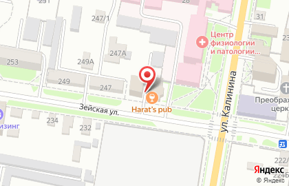 Ирландский паб Harat`s Irish pub на Зейской улице на карте