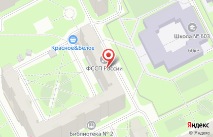 Купчинский отдел судебных приставов по Фрунзенскому району на карте